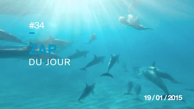 ZAP DU JOUR #34 : L'idée con du jour / Chloé Mortaud sexy en corvette / Vol de proximité en Wingsuit / Selfie du futur
