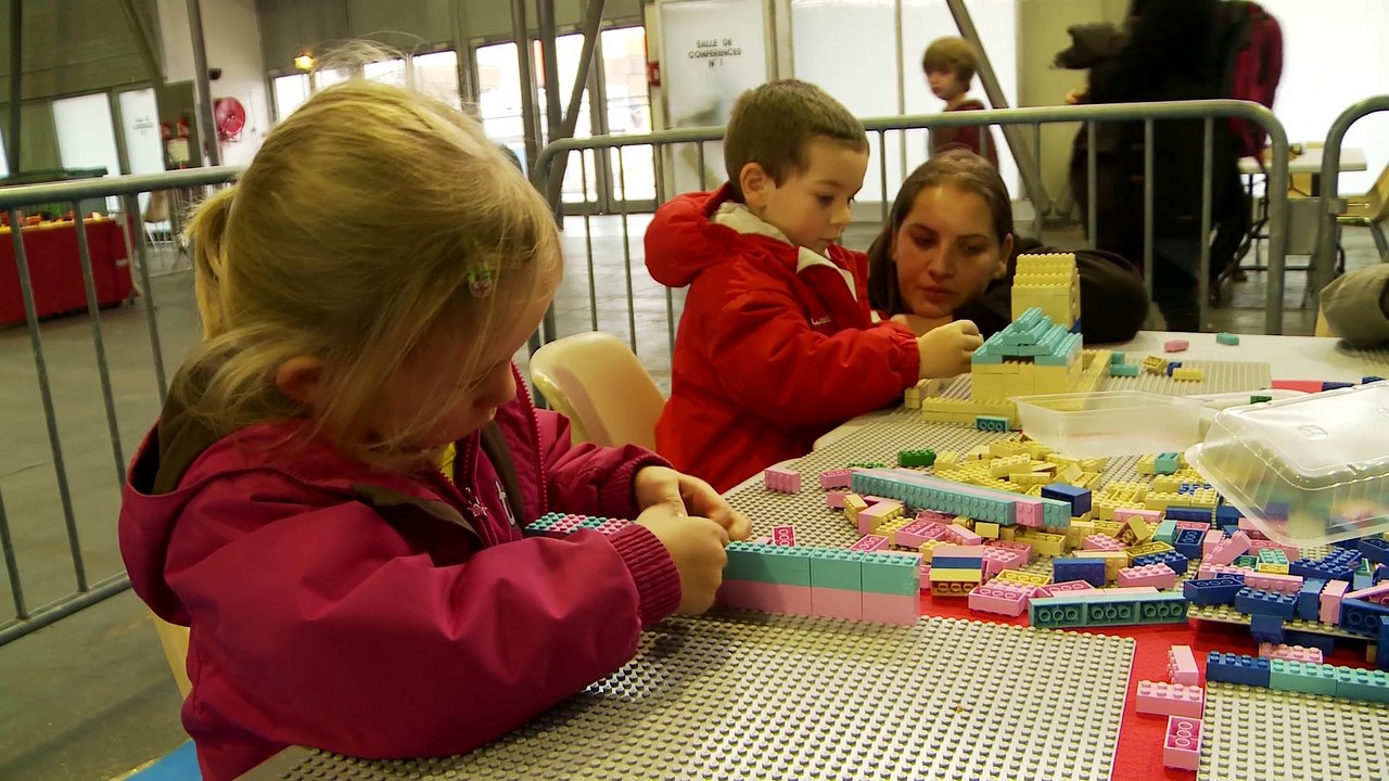 Art Bricks - Exposition Lego 2014