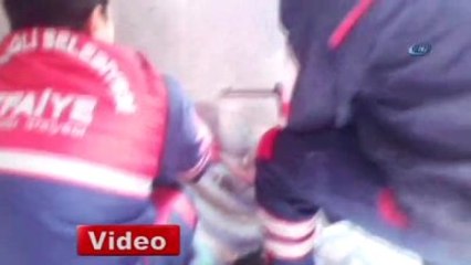 Su Giderine Kafası Sıkışan Kediyi İtfaiye Kurtardı