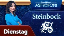 Das tägliche Horoskop des Sternzeichens Steinbock, heute am (20 Januar 2015)