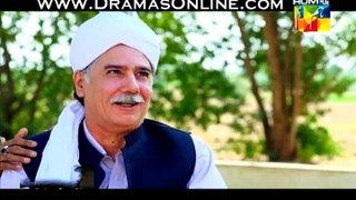 Aik Pal Episode 9 Full Episdoe 19th January 2015