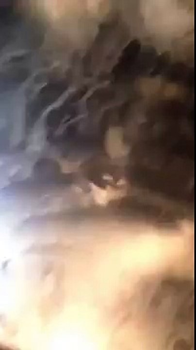 Une voiture de chasseurs est attaquée par une horde d'oies et de canards