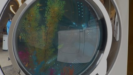 Men Finally Find A Good Use For An Old Washing Machine