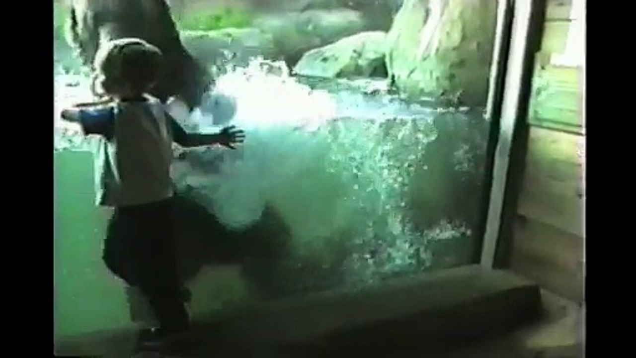 Kids At The Zoo - Compilation