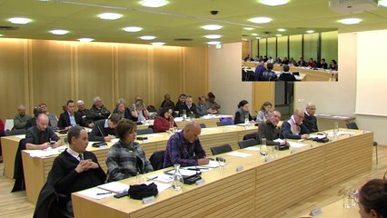 Conseil municipal lundi 19 janvier 2015 (REPLAY)