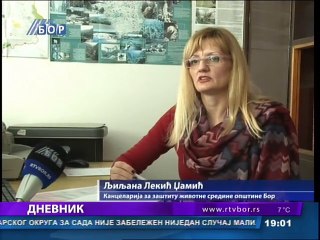 Dnevnik, 19. januar 2015. (RTV Bor)