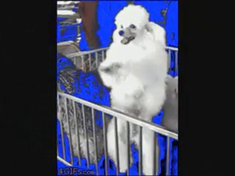 I'll Never Say Never Again Again,, Vince Castro