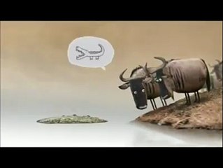 امت مسلمہ بالخصوص پاکستانی مسلمانوں کا حال