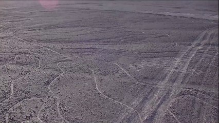 Les mystérieuses lignes de Nazca - le singe