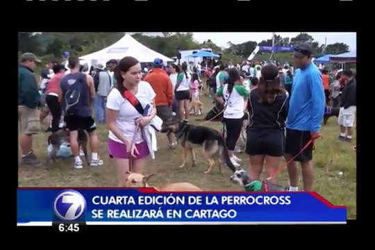 Perros y sus dueños participarán en carrera de campo traviesa