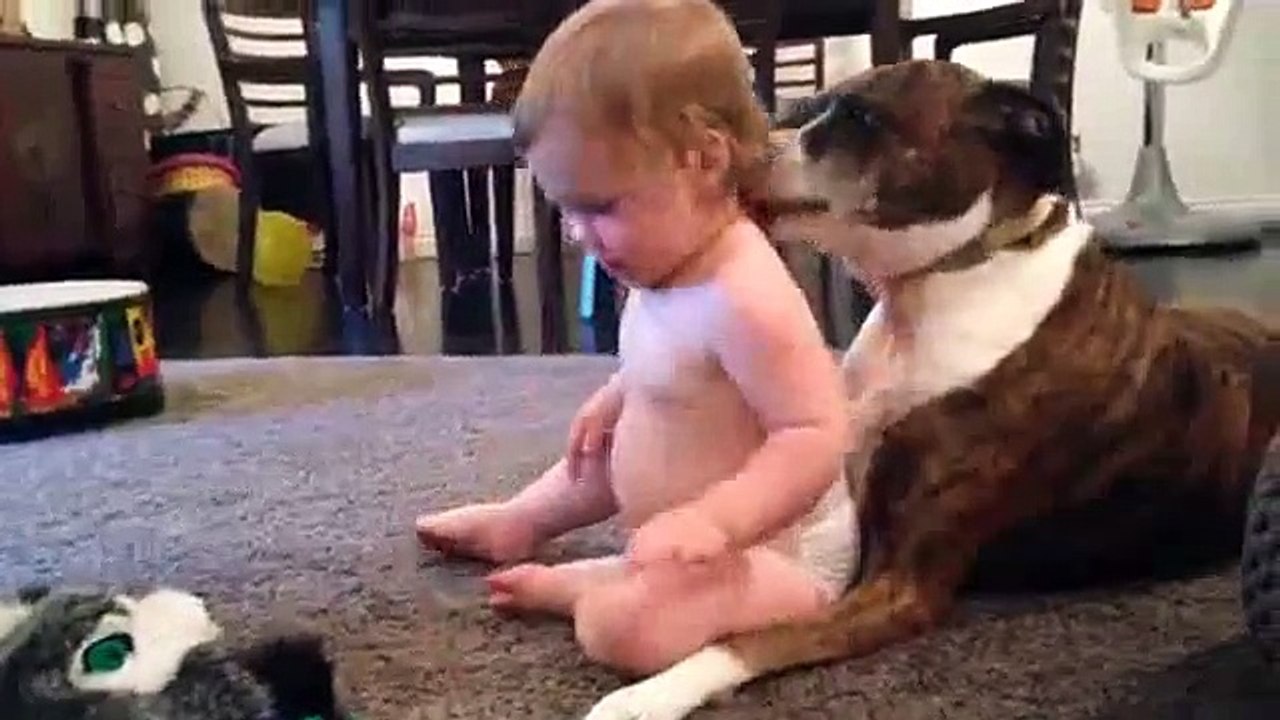 Chien qui fait la toilette d'un bébé