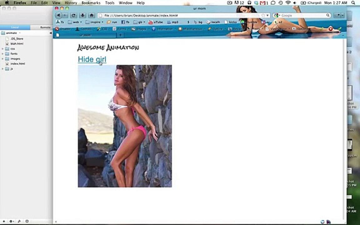 jQuery  Basic Animation and Effects.mp4