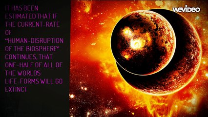 The Sixth Mass Extinction