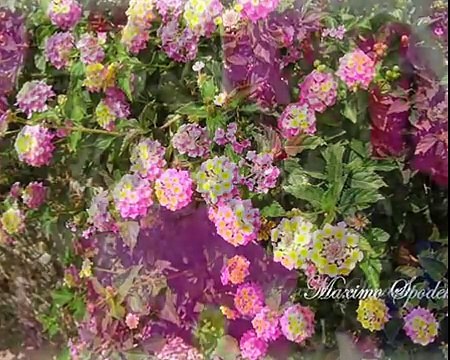 CANCIONES DE AMOR ROMANTICAS DE GRANDES PELICULAS EN PIANO Y ARREGLO INSTRUMENTAL