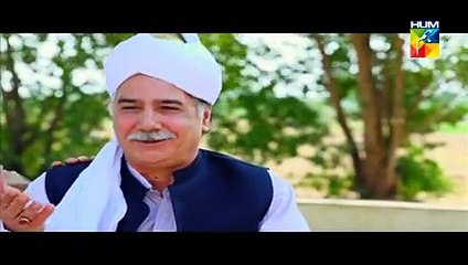 Aik Pal Episode 9 Full 19 January 2015 HUM TV Drama