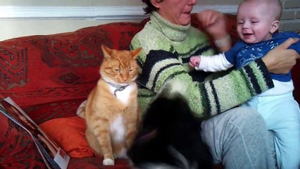 Cat and baby=love? Babies and cats like each other? The undisputed proof revealed here