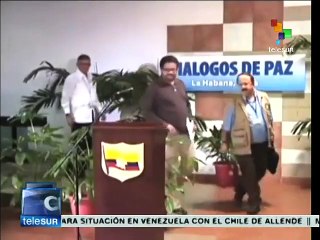 Colombia: fue constatado el cumplimiento del cese al fuego de FARC