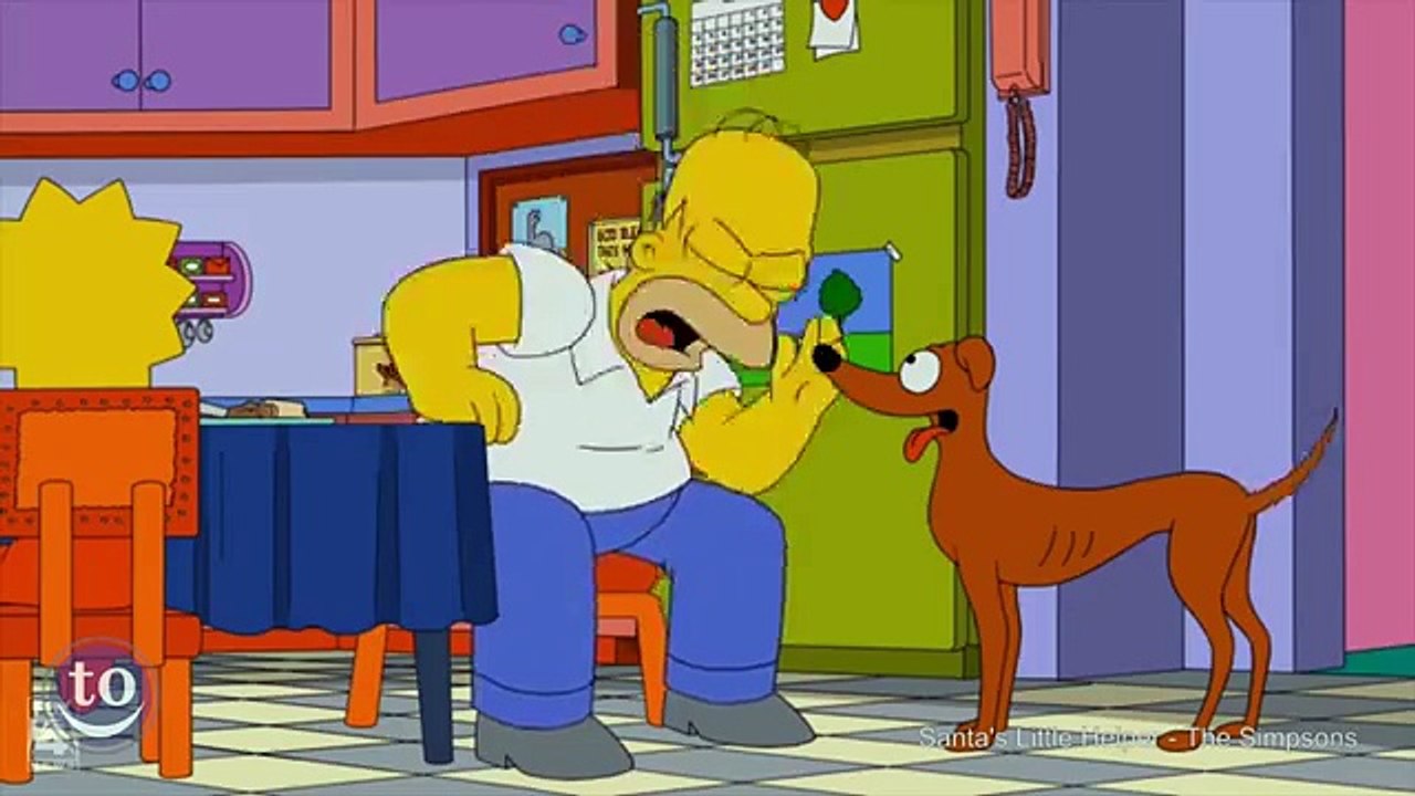 A Tribute to TV Dogs