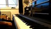 Rob Dougan Clubbed to Death (Kurayamino variation) Piano Cover