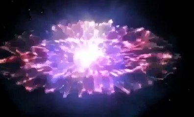 Dogs And More Dogs ● Nova Documentary