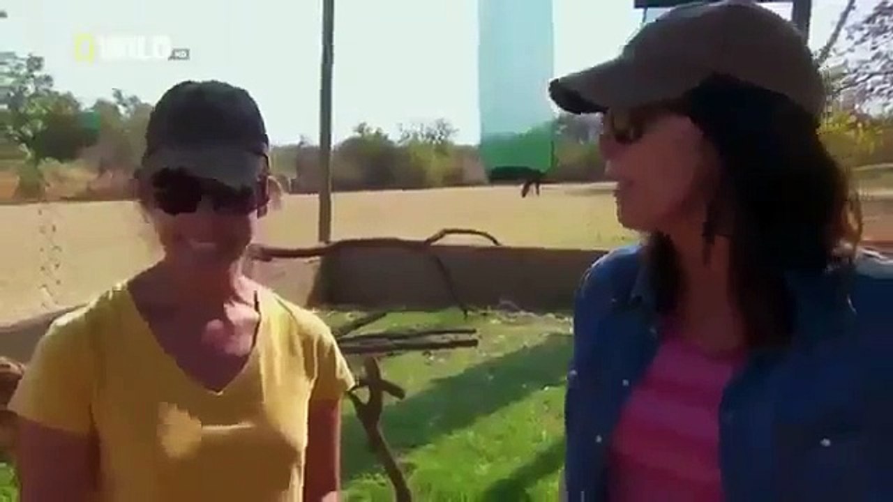 Nature Discovery Documentary Amazing Life Nature Documentaries HD 2014