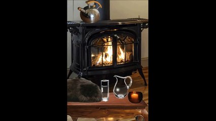 Soirée d'un chat au Canada