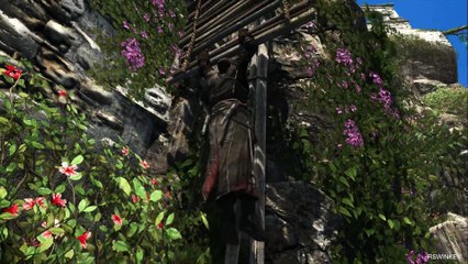 RSWINKEY Assassin's Creed Black Flag HD Walkthrough AC4 Gameplay Part 15 Sequence 100% 1080p 60FPS