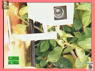 Historias Criminales, Acosadores de Hollywood 111013