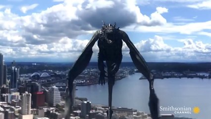 If Apache and Dragon could fly Who Would Win