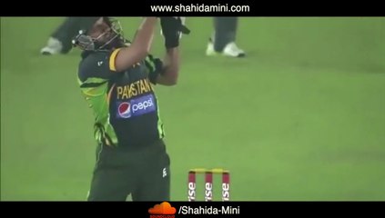 Pakistan Cricket Team Dedicate New Song for Cricket World Cup 2015