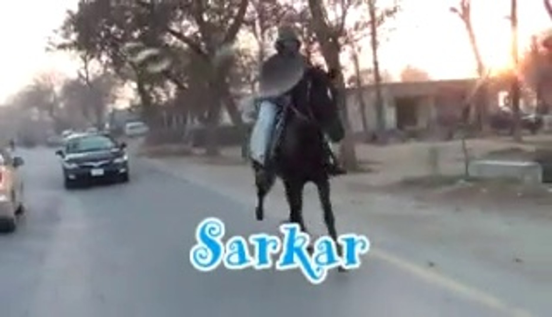 ⁣my horse sarkar (after a long time)
