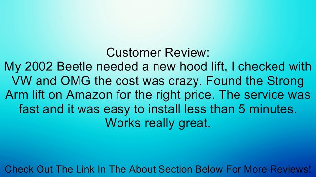 StrongArm 4328 Volkswagen Beetle Hood Lift Support 1998-02, Pack of 1 Review