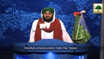 News Clip-16 Dec - Haji Hassan Attari Ki Abdul Rehman Shah Baba Kay Mazar Per Bombay Hind Main Hazri