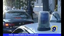FOGGIA | Sgominata banda che trafugava gasolio, arresti anche ad Andria