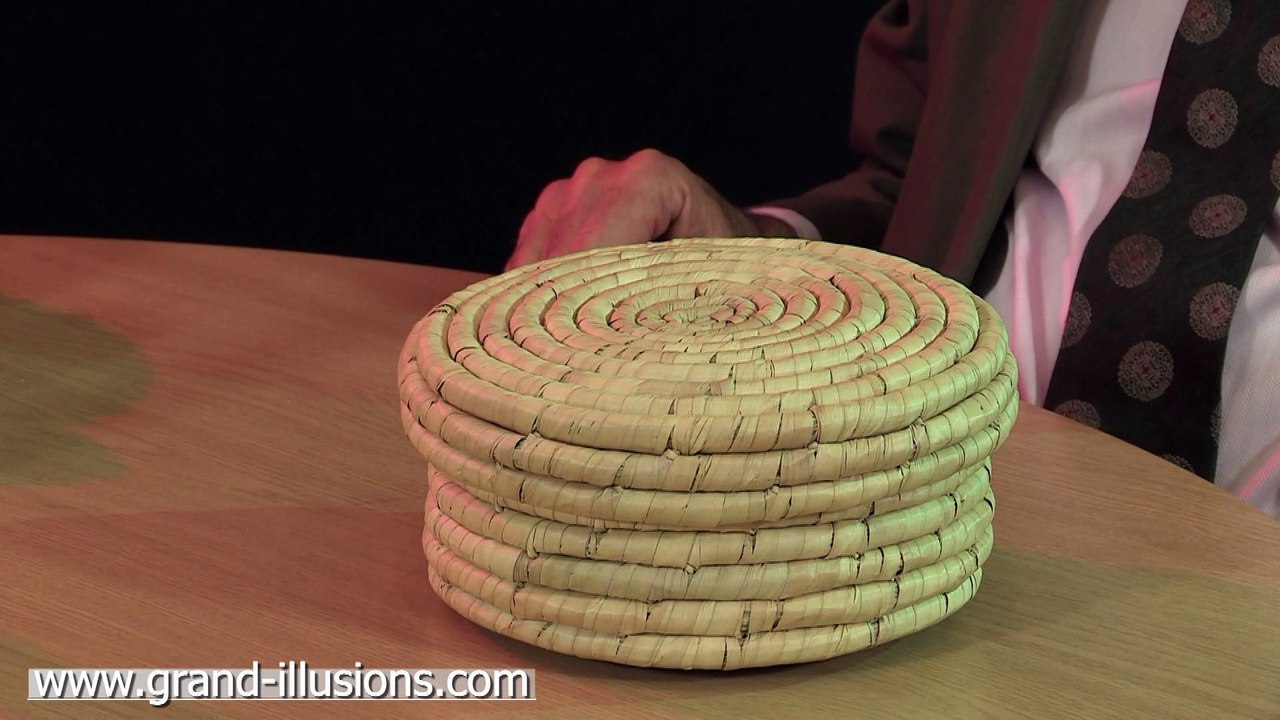 Cobra Snake Craft Toy