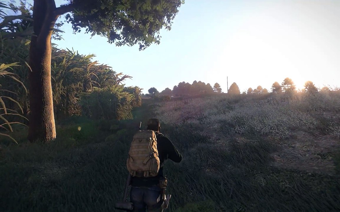 Well...Shit