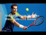 watch Andy Murray vs Marinko Matosevic tv stream