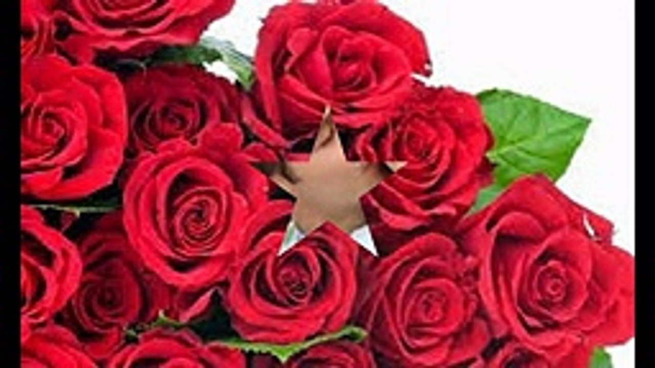 Happy Rose day-Rose day 2015, Wishes images wallpapers - YouTube