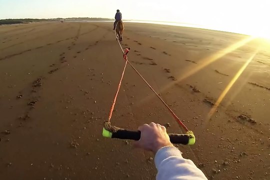 Horse surfing mountain board