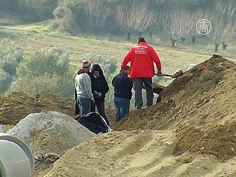 Ученые, возможно, нашли кости матери Македонского