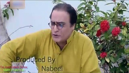 bulbulay drama episode full 317 on ary digital