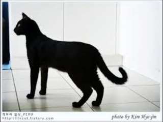 카지노주소《 Ｗ­Ｏ­Ｗ­８­８­０­。­Ｃ­Ｏ­Ｍ 》카지노가입머니