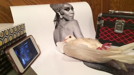 Cute bird knows hos to relax!