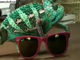 Unbelievable The Creater Of Allah Must Watch And Say Subhanallah