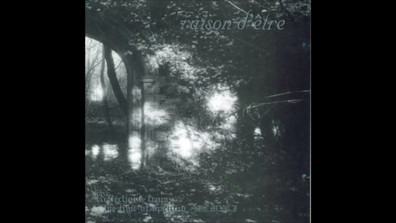 raison d'être - Reflectio Mediato