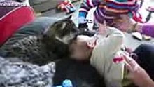 Смешные дети c котятами. Самое милое видео со смешными детьми и забавными котами.