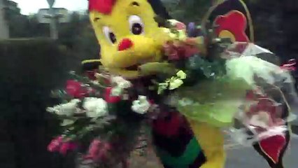 Butterfly (Rémi GAILLARD) Full HD