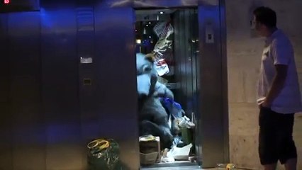 Rat Elevator - Rémi GAILLARD Full HD