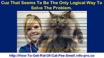 How To Get Cat Pee Smell Out, Cleaning Cat Urine, How To Remove Cat Urine Odor, Cat Urine Odor