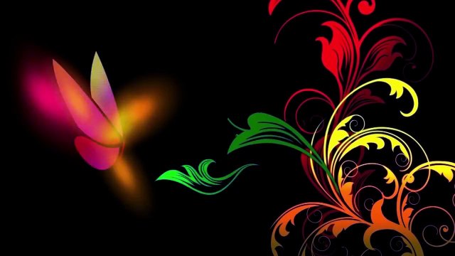 BIRDMAN Hollywood Movie Special Screening | Hrithik Roshan | Richa Chadda